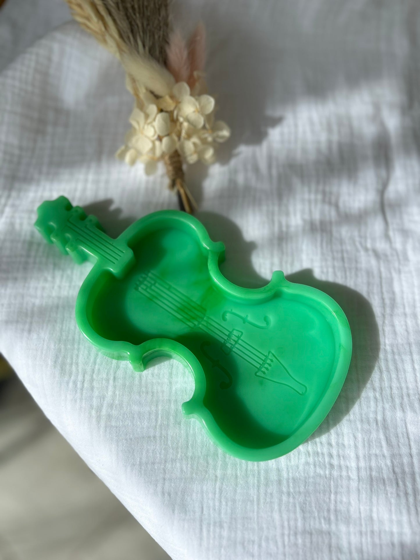 Vide Poche Violon