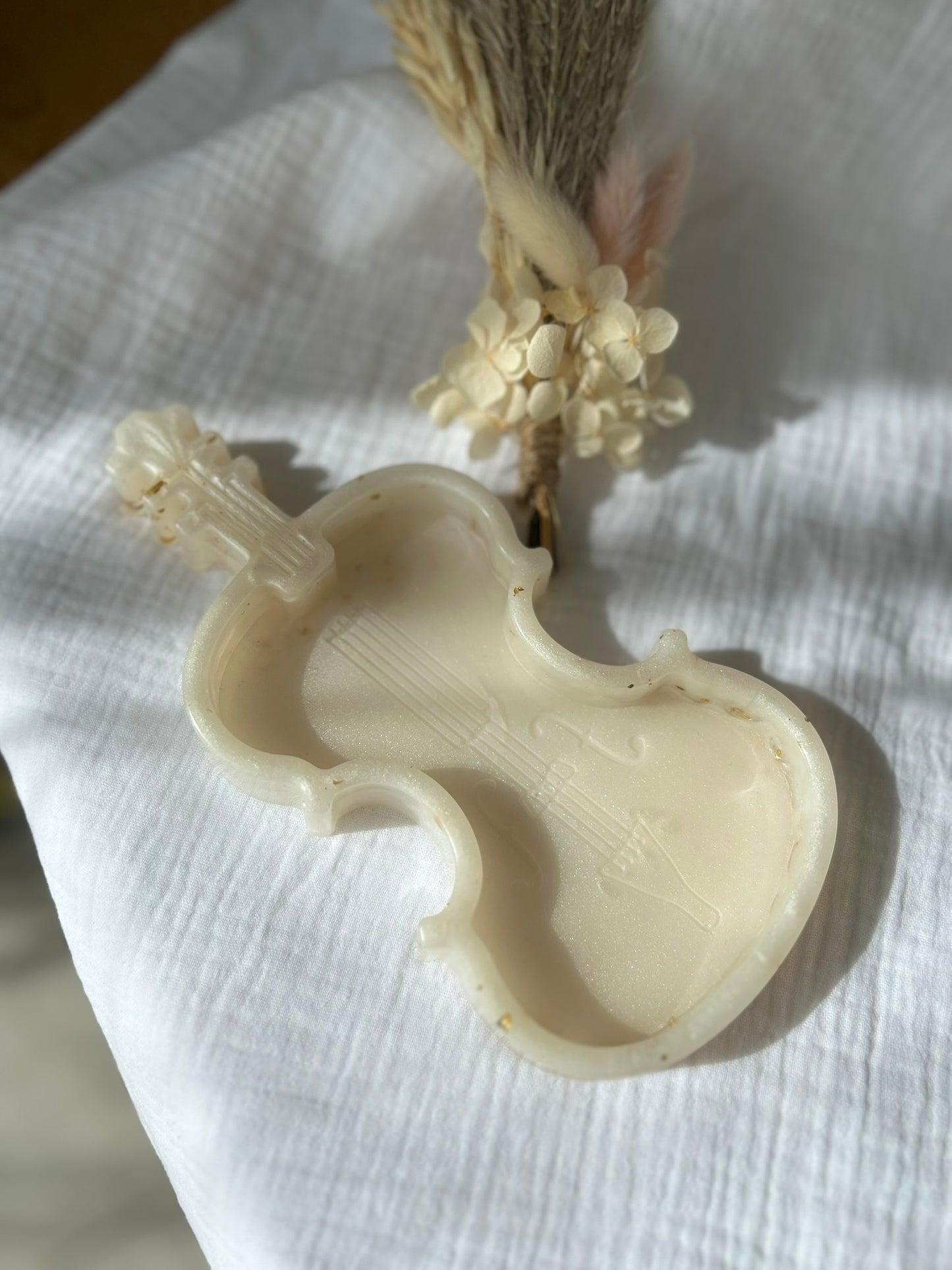 Vide Poche Violon